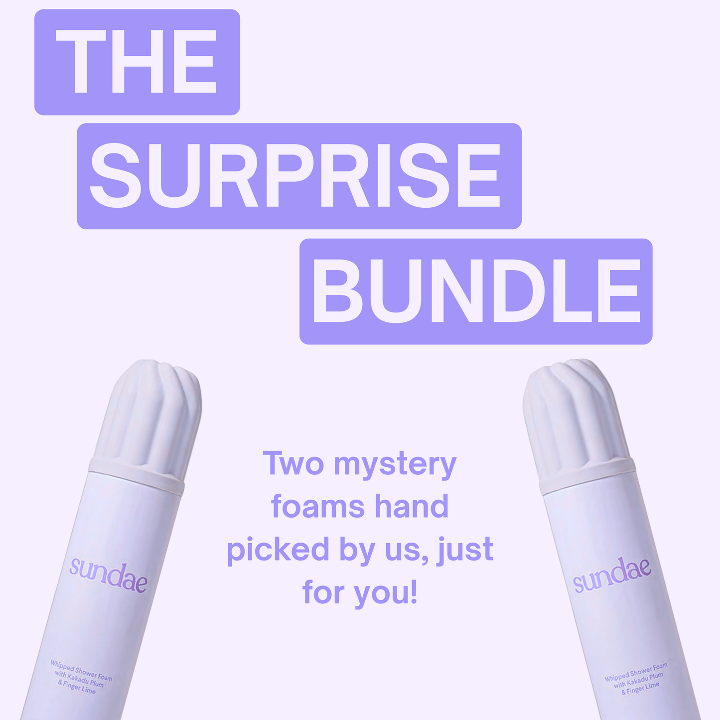 The Surprise Bundle